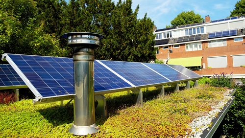 Blaue Sonnenkollektoren auf einem Gründach mit Sedumpflanzen zur Klimaanpassung