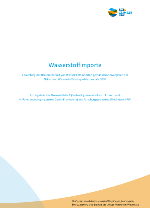 Bewertung der Realisierbarkeit von Wasserstoffimporten gemäß den Zielvorgaben der Nationalen Wasserstoffstrategie bis zum Jahr 2030
