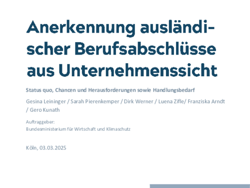 Anerkennung ausländischer Berufsabschlüsse aus Unternehmenssicht