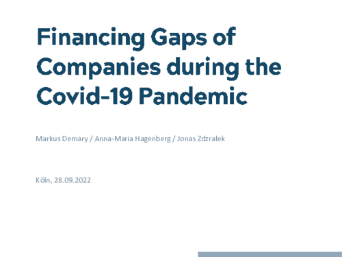 Financing Gaps of Companies during the Covid-19 Pandemic