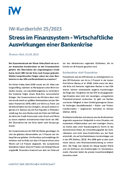 Stress im Finanzsystem - Wirtschaftliche Auswirkungen einer Bankenkrise