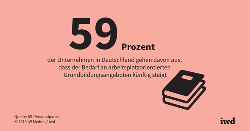 Grundbildung: Ohne Basis keine Expertise