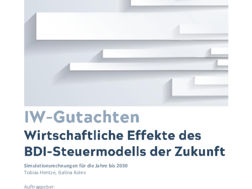 Economic Effects of the BDI tax model for the future