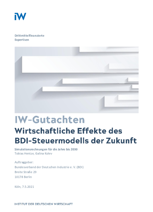 Economic Effects of the BDI tax model for the future