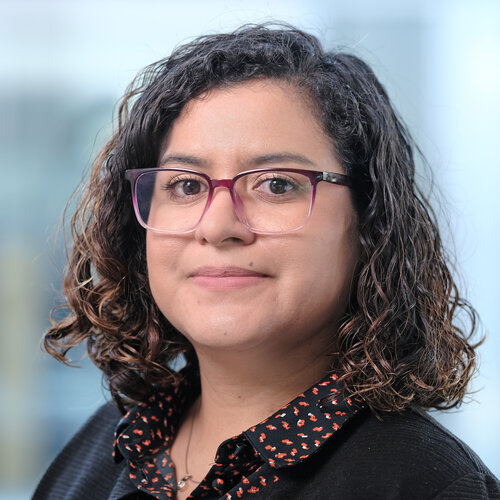 Rosalia Meztli Chino Flores