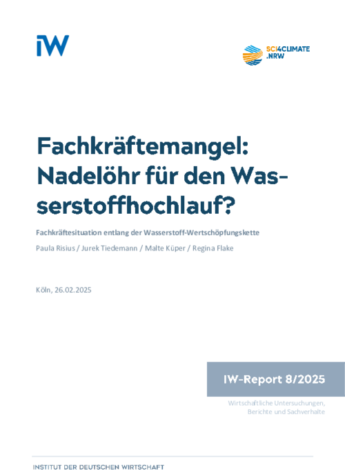 Nadelöhr für den Wasserstoffhochlauf?
