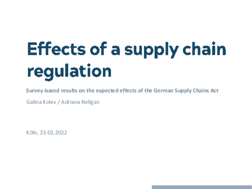 Survey-based results on the expected effects of the German Supply Chains Act