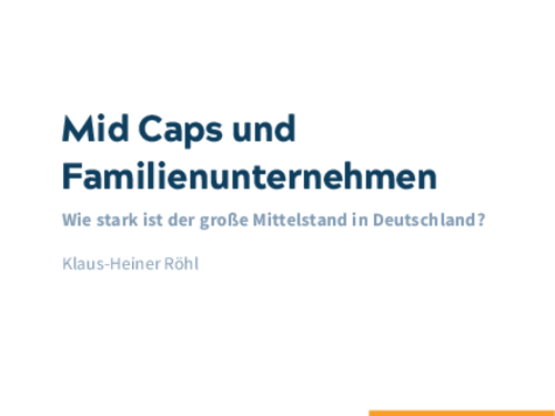 How strong is the large SME sector in Germany?