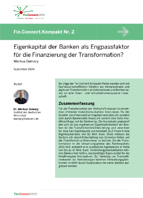 Eigenkapital der Banken als Engpassfaktor für die Finanzierung der Transformation?