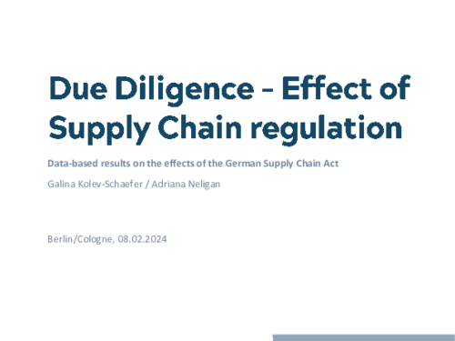 Data-based results on the effects of the German Supply Chain Act