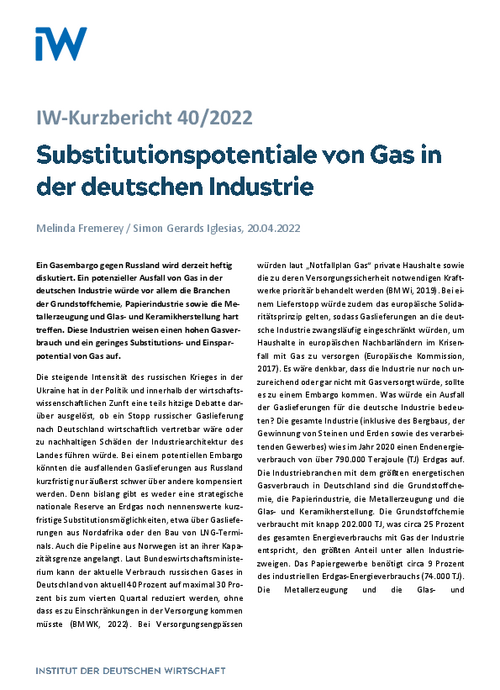 Substitutionspotentiale von Gas in der deutschen Industrie