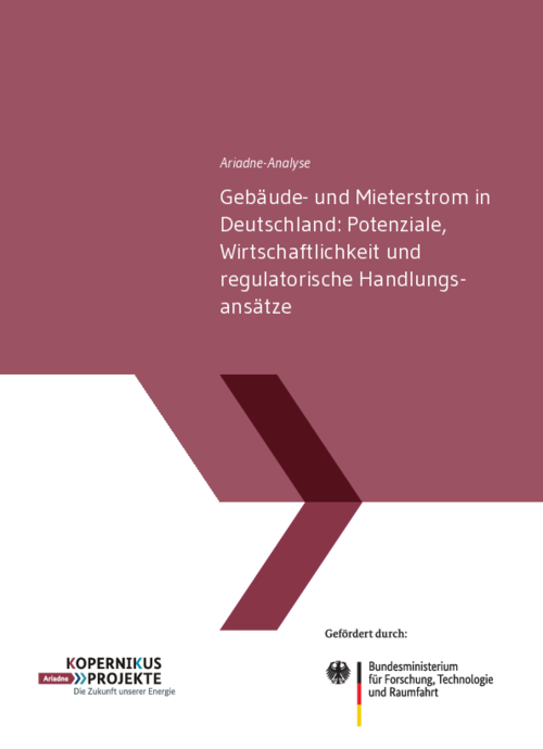 Potenziale, Wirtschaftlichkeit und regulatorische Handlungsansätze