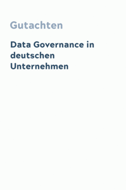 Data Governance in deutschen Unternehmen