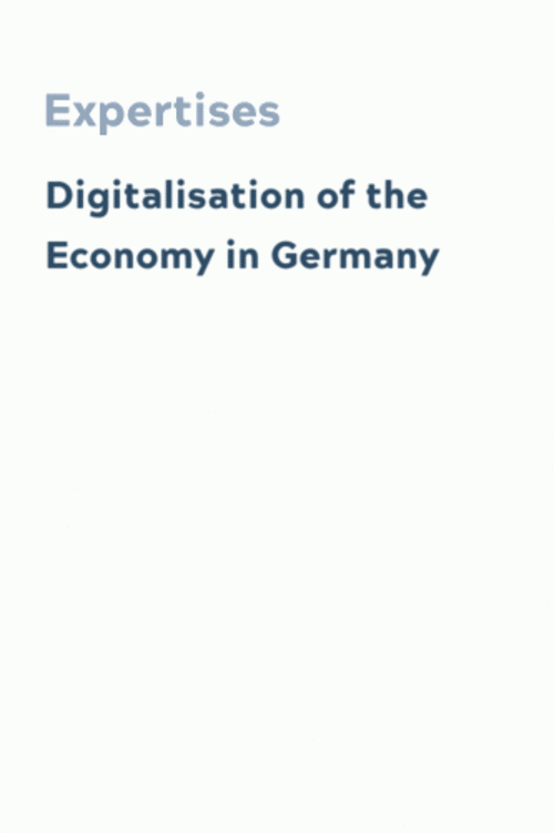 Digitalisation of the Economy in Germany