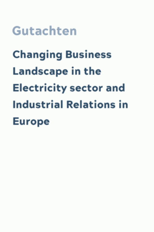 Changing Business Landscape in the Electricity sector and Industrial Relations in Europe