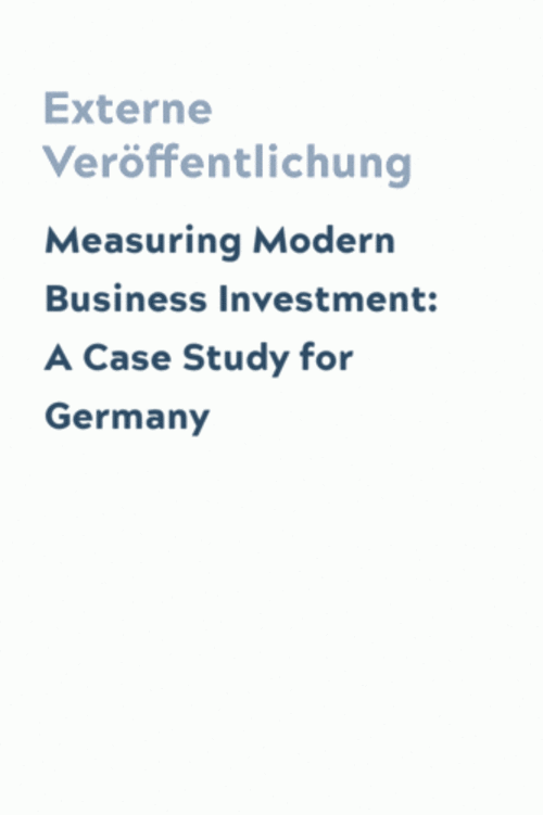 Measuring Modern Business Investment: A Case Study for Germany