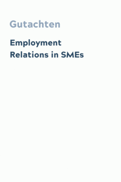 Employment Relations in SMEs