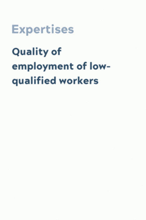 Quality of employment of low-qualified workers