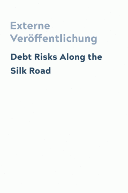 Debt Risks Along the Silk Road