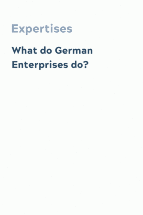 What do German Enterprises do?