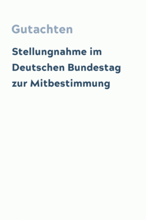 Stellungnahme im Deutschen Bundestag zur Mitbestimmung