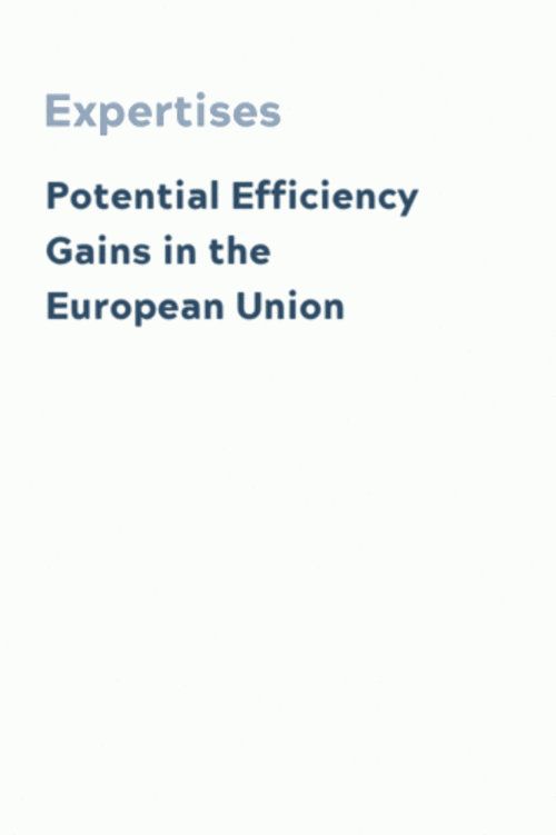 Potential Efficiency Gains in the European Union