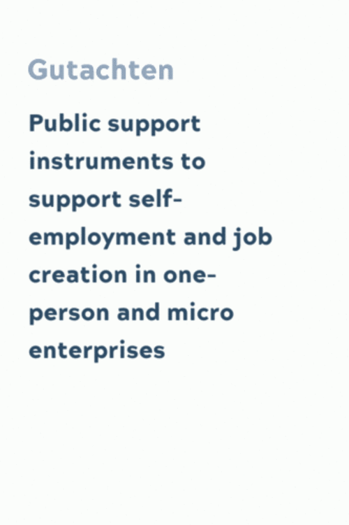 Public support instruments to support self-employment and job creation in one-person and micro enterprises