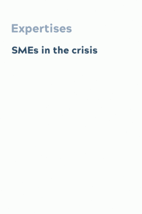 SMEs in the crisis